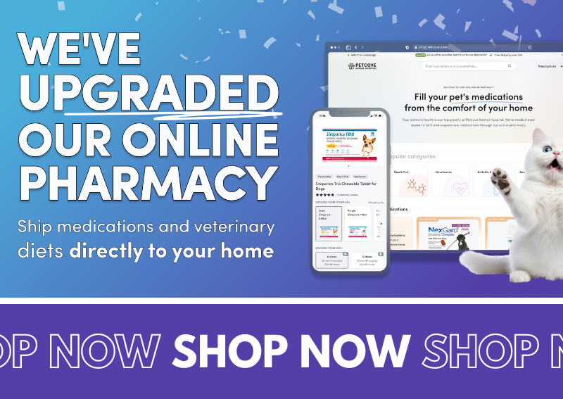 Carousel Slide 6: Shop our online pharmacy and store!