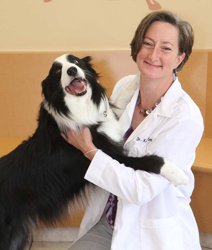 Dr. Karen Selbert, DVM